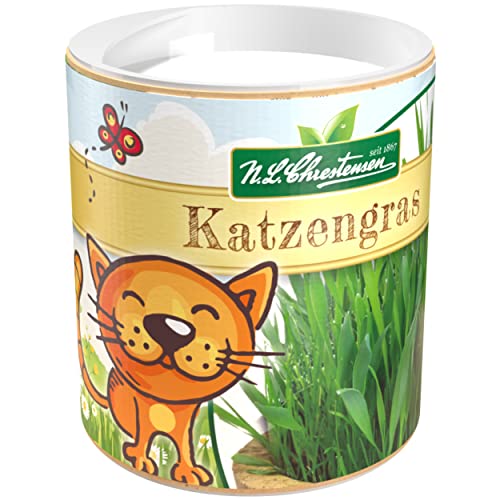 Premium Katzengras Samen Chrestensen Gartenkinder, Grassamen schnellkeimend mit Anleitung für Kinder, 1 Dose für ca. 2-2,5 m² Katzengras fertig gewachsen, Natürliche Katzen Leckerlies zu Hause von chrestensen