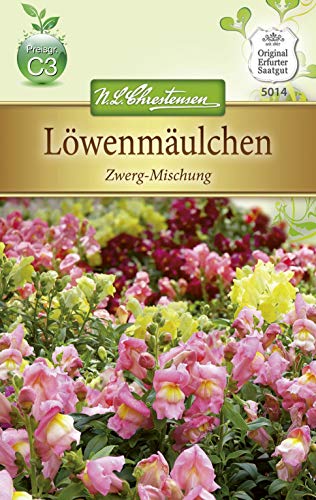 Chrestensen Löwenmäulchen 'Zwerg-Mischung' von N.L. Chrestensen