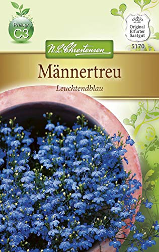 Chrestensen Männertreu 'leuchtendblau' Chrestensen Männertreu 'leuchtendblau' von Chrestensen