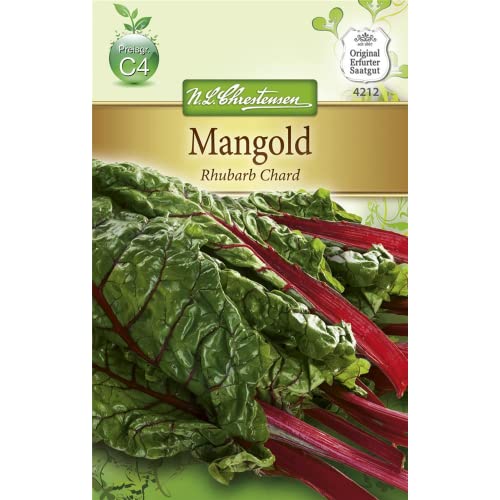 Chrestensen Mangold 'Rhubarb Chard' von Chrestensen