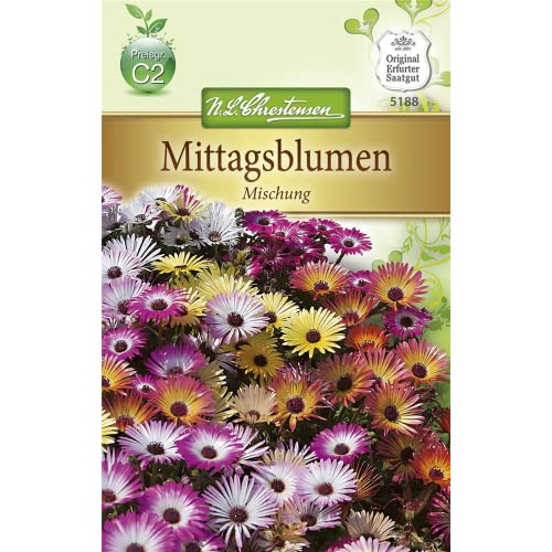 Chrestensen Mittagsblumen 'Mischung' von Chrestensen