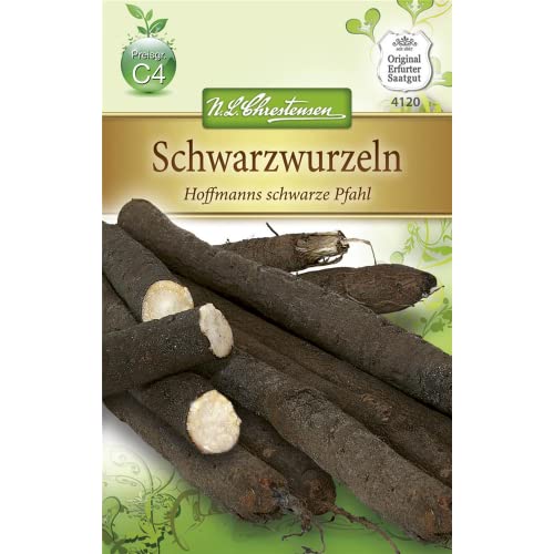 Chrestensen Schwarzwurzeln 'Hoffmanns schwarze Pfahl' Chrestensen Schwarzwurzeln 'Hoffmanns schwarze Pfahl' von Chrestensen