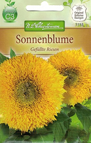 Chrestensen Sonnenblume 'Gefüllte Riesen' von Chrestensen