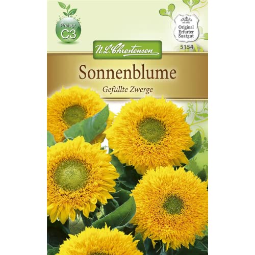 Chrestensen Sonnenblume 'Gefüllte Zwerge' von N.L. Chrestensen