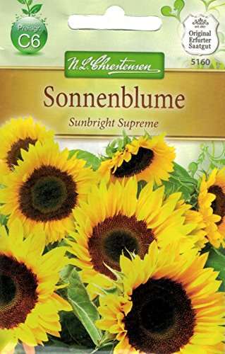 Chrestensen Sonnenblume 'Sunbright Supreme' Chrestensen Sonnenblume 'Sunbright Supreme' von Chrestensen
