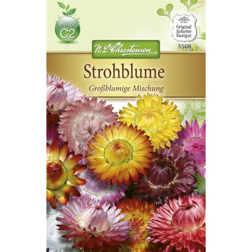 Chrestensen Strohblume 'Großblumige Mischung' von Chrestensen