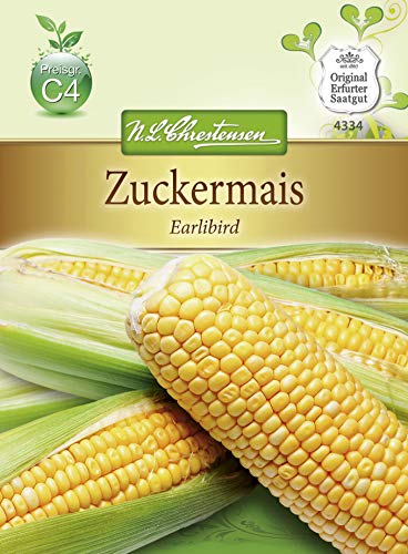 Chrestensen Zuckermais ' Earlibird' Zea mays 4334 Chrestensen Zuckermais ' Earlibird' Zea mays 4334 von Chrestensen