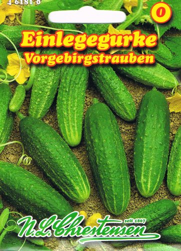 Einlegegurke Vorgebirgstrauben (Portion) von N.L. Chrestensen