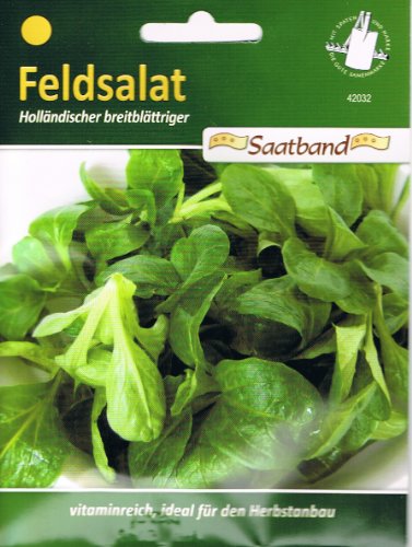 Feldsalat Holländischer breitblättriger Saatband Feldsalat Holländischer breitblättriger Saatband von Chrestensen