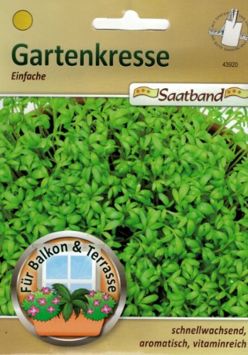 Gartenkresse einfache Saatband für Balkon & Terrasse schnellwachsend aromatisch vitamninreich 43920 von Chrestensen