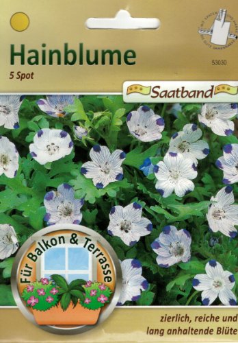 Hainblume 5 Spot Saatband für Balkon & Terrasse zierlich reiche und lang anhaltende Blüte Nemophila 53030 von Chrestensen