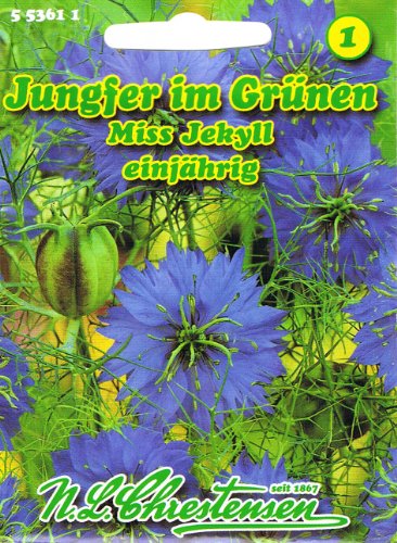 Jungfer im Grünen 'Miss Jekyll' , einjährig, blau,Violettblaue Blüten, dekorative Samenstände, (Nigella deascena) von N.L. Chrestensen