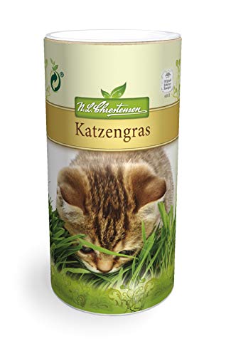 Katzengras reicht für 4-5 m² (Streudose Saatgut) (1) (4) von Chrestensen