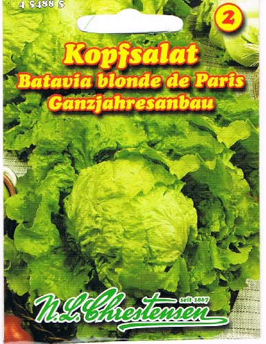 Kopfsalat " Batavia blonde de Paris" ganzrahresanbau von Chrestensen