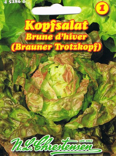 Kopfsalat Brauner Trotzkopf (Portion) von N.L. Chrestensen