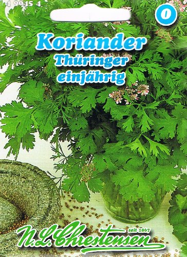 Koriander Thüringer einjährig Koriander Thüringer einjährig von Chrestensen