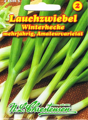 Lauchzwiebel Winterhecke (Portion) von N.L. Chrestensen