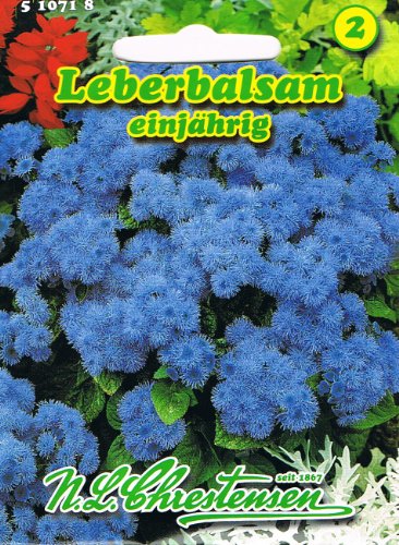 Leberbalsam einjährig, Dauerblüher, für Beet-, Rabatten-, Grab- und Balkonbepflanzung (Ageratum houstonianum) von Chrestensen