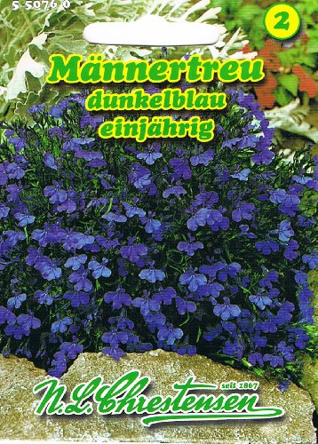 Männertreu , dunkelblau, einjährig, beliebte, reichblühende Beet- und Gruppenpflanze 'Lobelia erinus' von Chrestensen