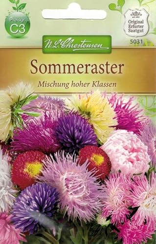 N.L.Chrestensen 5031, Callistephus Sommeraster , Mischung hoher Klassen, Mehrfarbig von Chrestensen