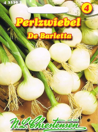 Perlzwiebel Barletta (Portion) von Chrestensen