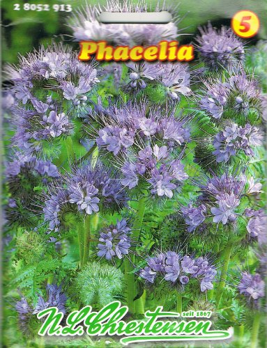 Phacelia Bienenweide ,Gründüngung Phacelia Bienenweide ,Gründüngung von Chrestensen