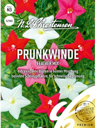 Prunkwinde Feather Mix von Chrestensen