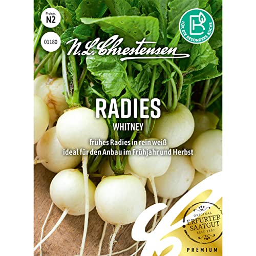 Radies Whitney, Radischen, Packungsgröße N2, Portion Saatgut, Radieschen weiß Radies Whitney, Radischen, Packungsgröße N2, Portion Saatgut, Radieschen weiß von Chrestensen