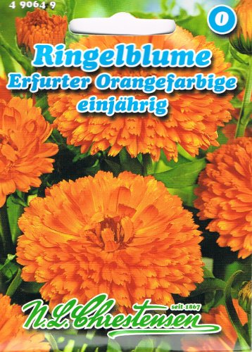 Ringelblume Erfurter Orangefarbige (Portion) von Chrestensen