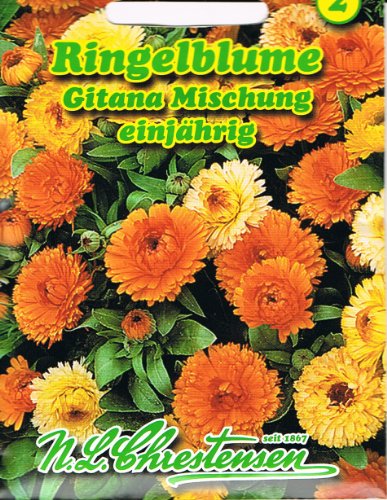 Ringelblume 'Gitana-Mischung' einjährig, Sommerliche Farbtöne von gelb bis orange 'Calendula officinalis' von Chrestensen