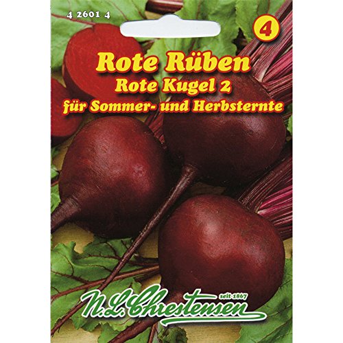 Rote Rübe Rote Kugel 2 (Portion) von Chrestensen