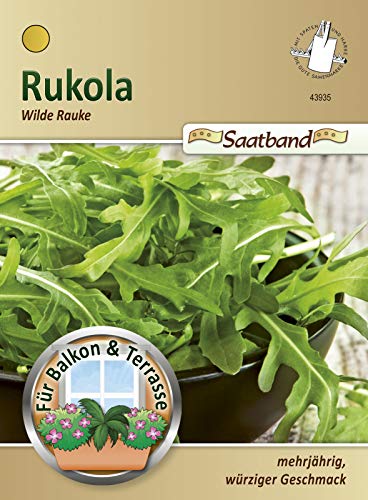 Rukola Wilde Rauke Saatband für Balkon & Terrasse mehrjährig würziger Geschmack 43935 von Chrestensen