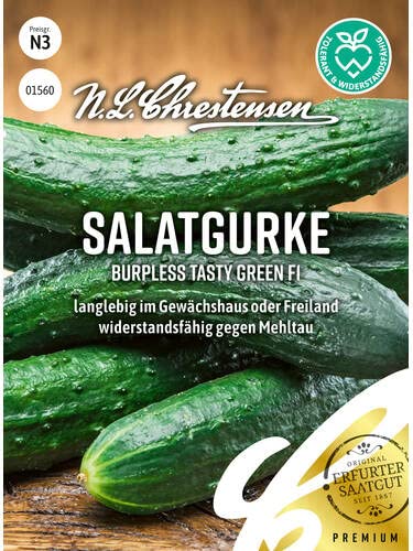 Salatgurke Burpless Tasty Green, F1, Packungsgröße N3, Portion Saatgut von Chrestensen