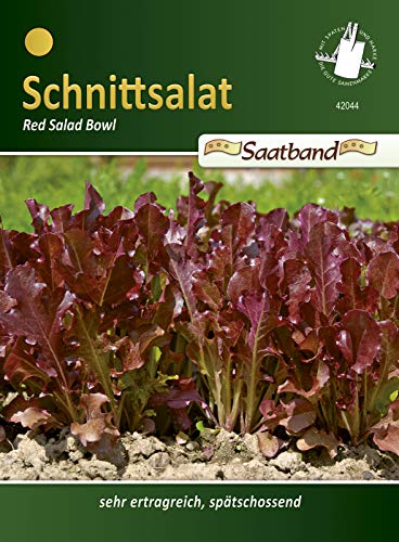 Schnittsalat Red Salad Bowl Saatband von Chrestensen