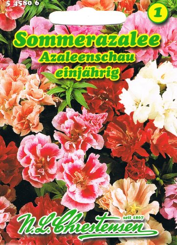 Sommerazalee Azaleenschau , einjährig, gefülltblühend, erstklassige Mischung 'Godetia grandiflora' Azalee von Chrestensen