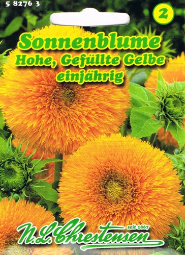 Sonnenblume 'Hohe gefüllte Gelbe' gelb, einjährig, stark- und schnellwachsend 'Helianthus annuus' von Chrestensen