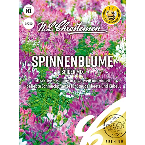 Spinnenblume Spider Mix von Chrestensen