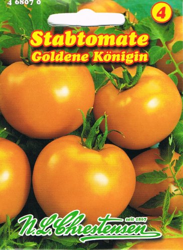 Stabtomate goldene Königin milder Geschmack, goldgelb, kugelig Glatt von Chrestensen