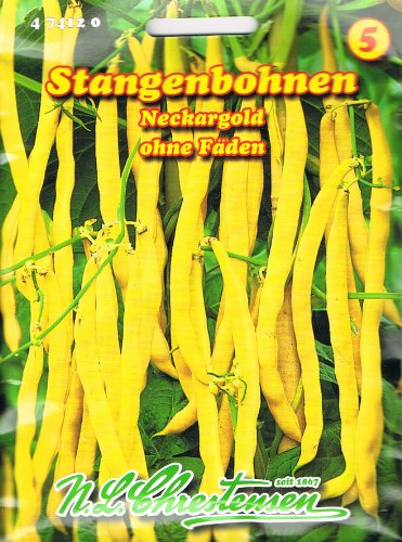 Stangenbohne Neckargold GS (Portion) von N.L. Chrestensen