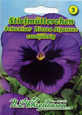Stiefmütterchen Schweizer Riesen Alpensee Viola wittrockiana von Chrestensen