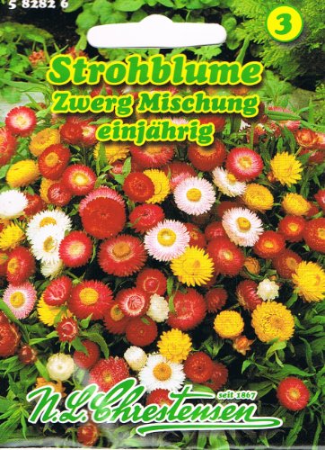 Strohblumen Zwerg Mischung Helichrysum bracteatum Trockenblume von Chrestensen