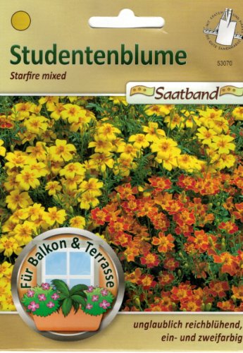 Studentenblume Starfire mixed Saatband für Balkon & Terrasse unglaublich reichblühend ein- und zweifarbig 53070 von Chrestensen