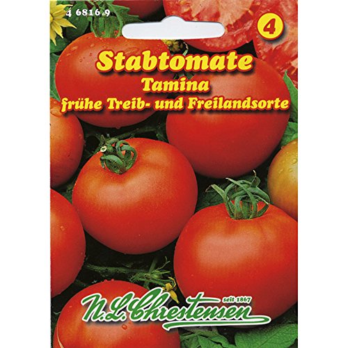 Tomate Tamina Stabtomate frühreifende Sorte, mittelgroße Früchte , ertragreich von N.L. Chrestensen