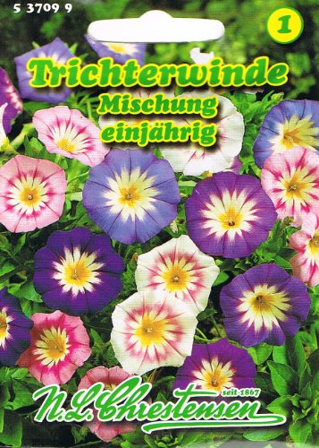 Trichterwinde Mischung ,einjährig, große trichterförmige Blüten 'Convolvulus tricolor' Winde Saatgut von Chrestensen
