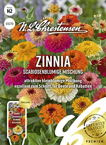 Zinnia Scabiosenblumige Mischung, N.L. Chrestensen Blumensamen Mischung für Garten und Wiese Zinnia Scabiosenblumige Mischung, N.L. Chrestensen Blumensamen Mischung für Garten und Wiese von Chrestensen