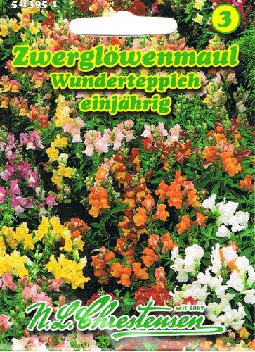 Zwerglöwenmaul Wunderteppich Antirrhinum majus pumilum Löwenmaul Zwerglöwenmaul Wunderteppich Antirrhinum majus pumilum Löwenmaul von Chrestensen