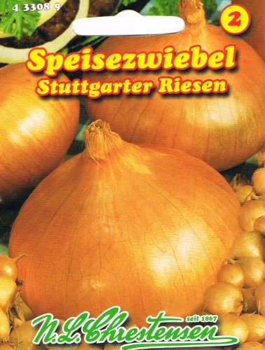 Zwiebel Stuttgarter Riesen (Portion) von N.L. Chrestensen