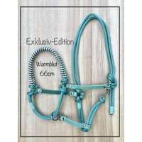 Halfter Größe Warmblut | Full Aus Seil Und Weichem Fettleder in Mint Zum Reiten, Bodenarbeit Führen von ChriStallHalfter