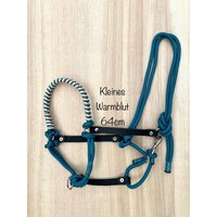 Halfter Größe Warmblut | Full Aus Seil in Aqua Zum Reiten, Bodenarbeit Und Führen von ChriStallHalfter