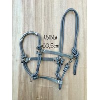 Sidepull Größe Vollblut | Cob in Silbergrau Aus Seil Mit Zopfmuster Und Weichem Fettleder Zum Reiten, Bodenarbeit Führen Sidepull Größe Vollblut | Cob in Silbergrau Aus Seil Mit Zopfmuster Und Weichem Fettleder Zum Reiten, Bodenarbeit Führen von ChriStallHalfter